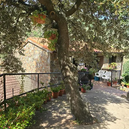 Casitas Del Bodegon