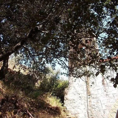Casa rural Casitas Del Bodegon *