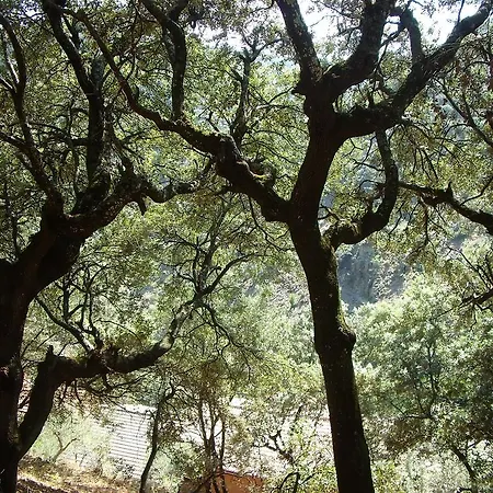 Las Casitas Del Bodegon El Gasco