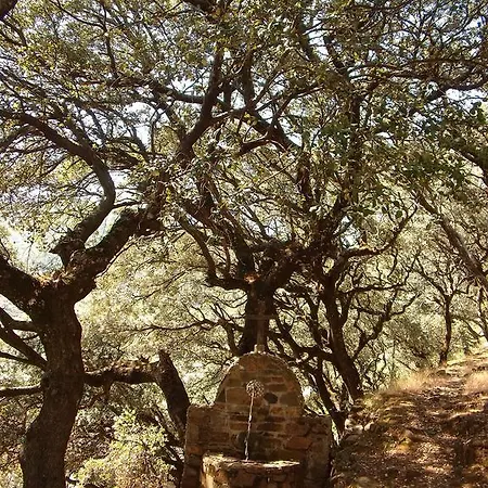 Casa rural Casitas Del Bodegon