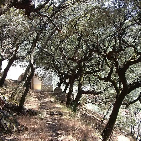 בית כפרי Casitas Del Bodegon El Gasco