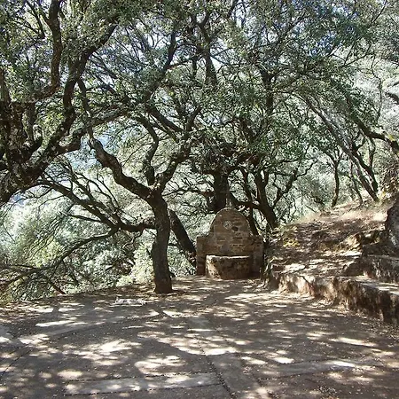 Casitas Del Bodegon