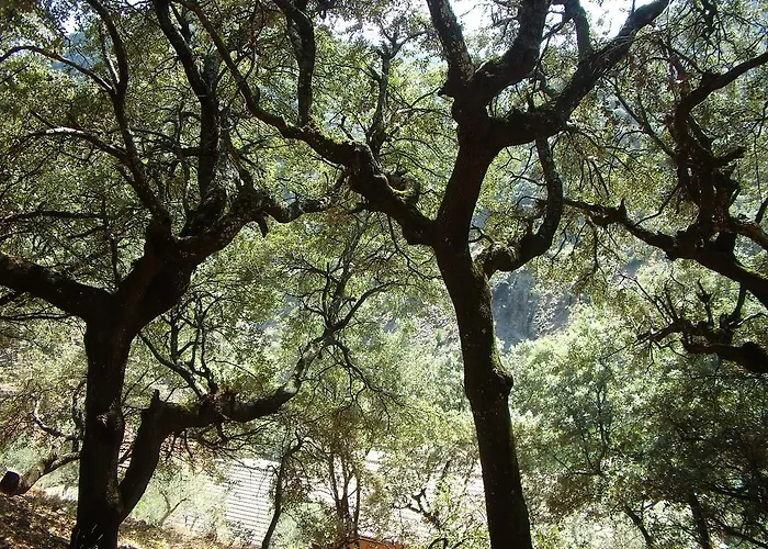Casitas Del Bodegon El Gasco
